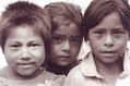 Niños (Kids)