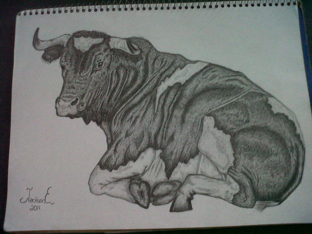 TORO  A GRAFRITO
