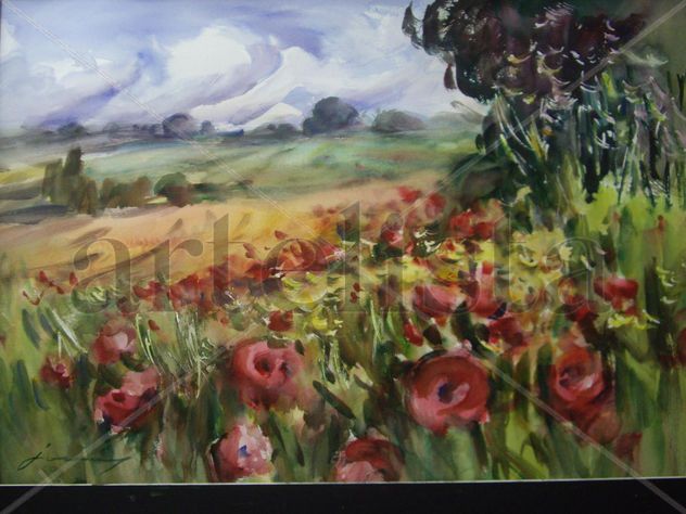 Amapolas de mayo