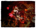 amantes