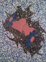 AMOR FLORAL