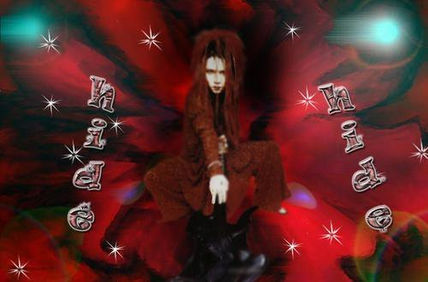 Hide