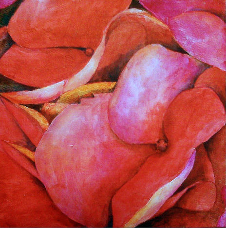 Hortensia roja