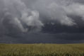 viene la lluvia