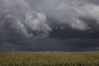 Viene la lluvia