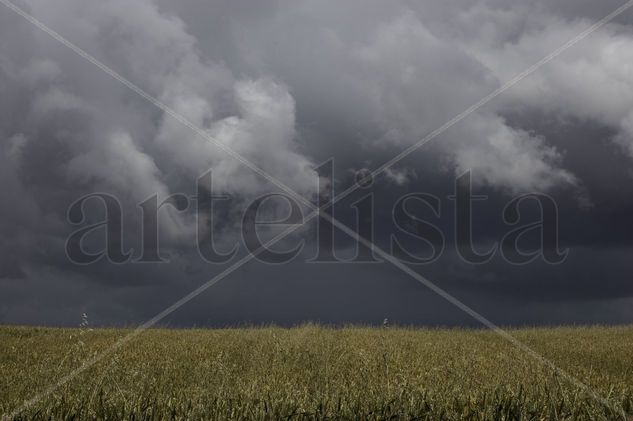 viene la lluvia 