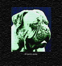 Mi perro verde