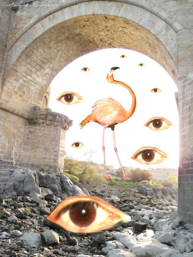 Flamenco y ojos del puente, (Flamenco and the eyes of the bridge)