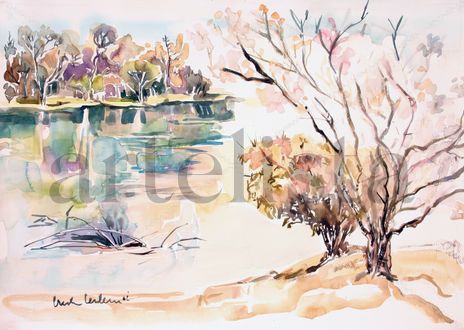 Paisaje isleño