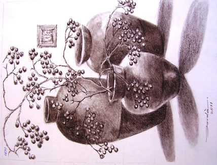 Colleccio maig 2011