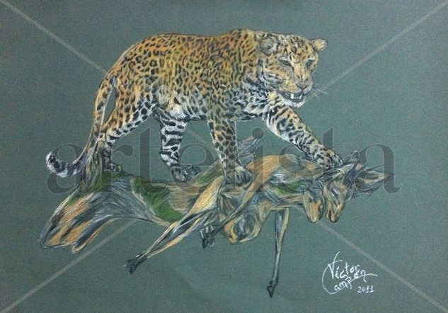 Leopardo con presa Pastel Papel Animales