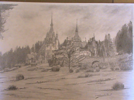 Castelul(Castillo)...