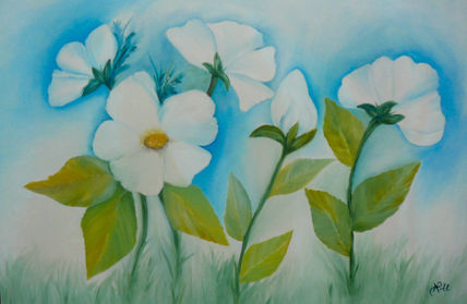 flores | Flowers