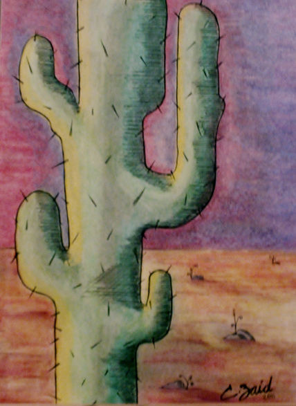 Cactus II