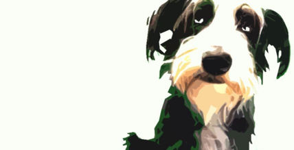 Perros 1