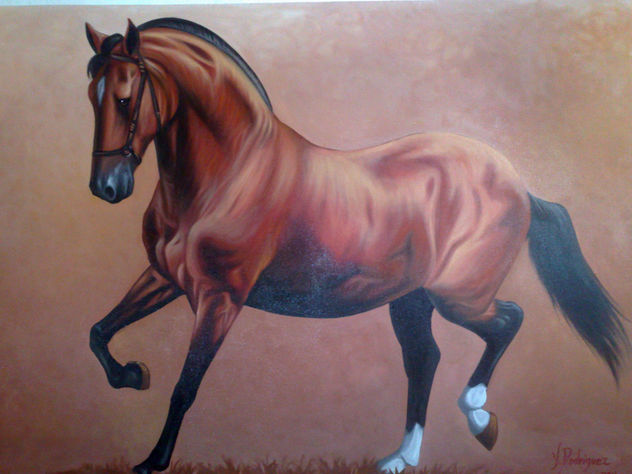 caballo cafe
