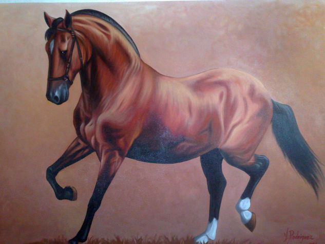 caballo cafe Oil Canvas Animals