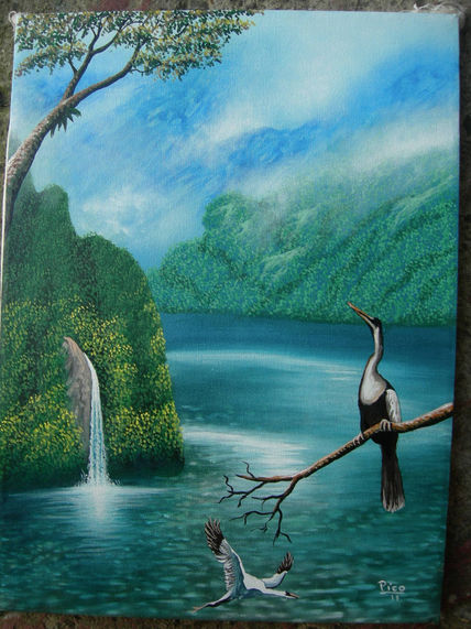 La isla del coco....