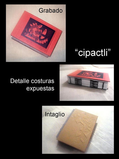 CIPACTLI 