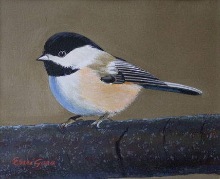 Pajaro