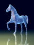 Impossible Horse