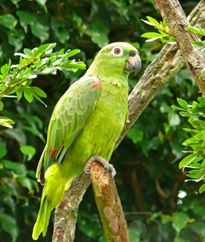 Animales parque megua