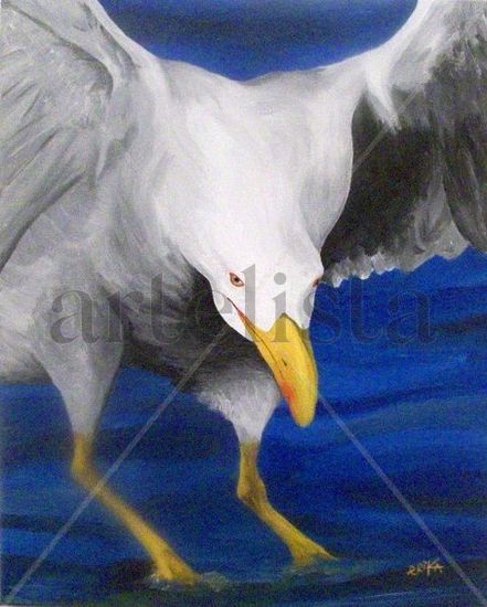 Gaviota Acrylic Canvas Animals