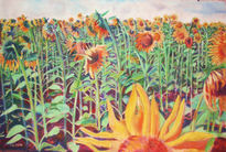 Los girasoles