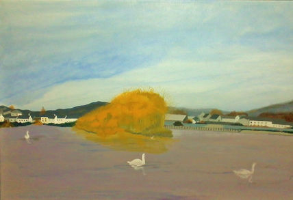 Barrow´s swans