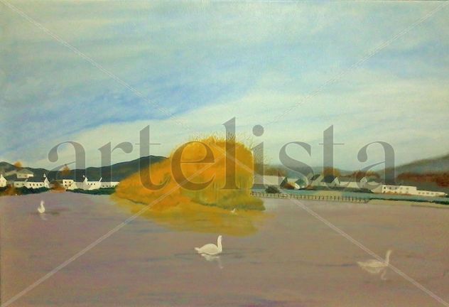 barrow´s swans