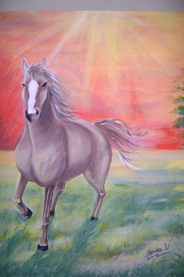 caballo salvaje en atardecer