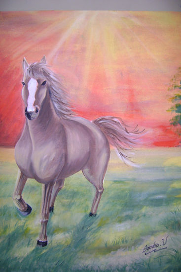 caballo salvaje en atardecer Acrylic Canvas Landscaping