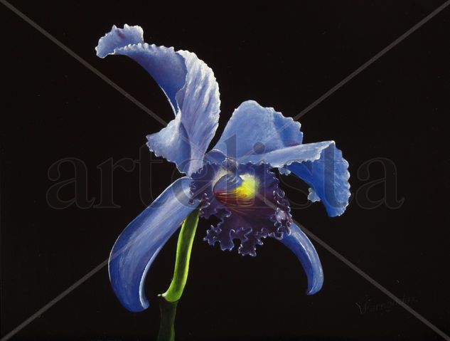 01-ORQUIDEA Oil Panel Floral Painting