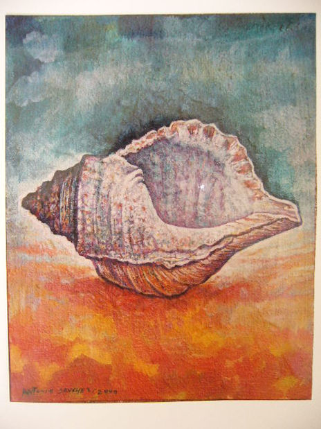 Caracola