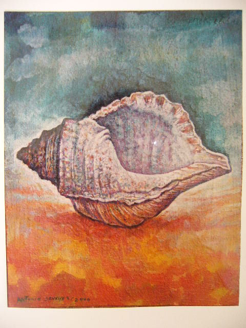 caracola