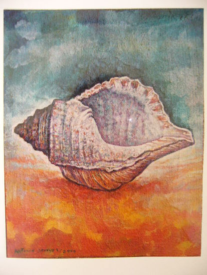 caracola Mixed media Canvas Marine Painting