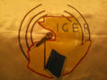 logo de IGER