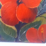 flores thumbnail 1