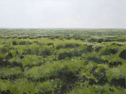 Paisaje de la...