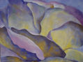 VIOLETA