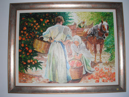 Recogiendo naranjas