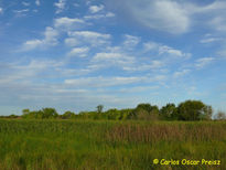 Cielo y juncos