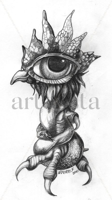 Argos Boa