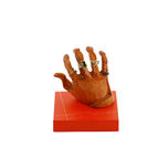 COLECCION DE LA MANO thumbnail 2