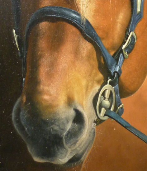 Detalle Alejo Oil Canvas Animals