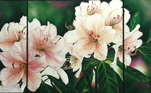 BIFLORAS