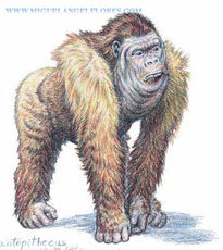 Gigantopithecus