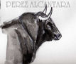 TORO