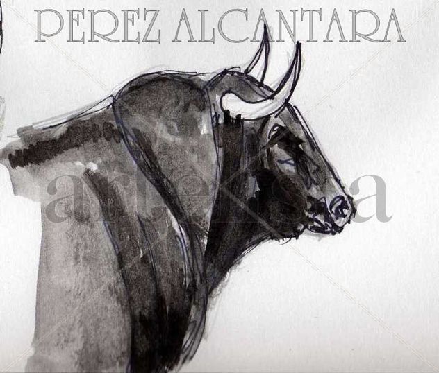 TORO