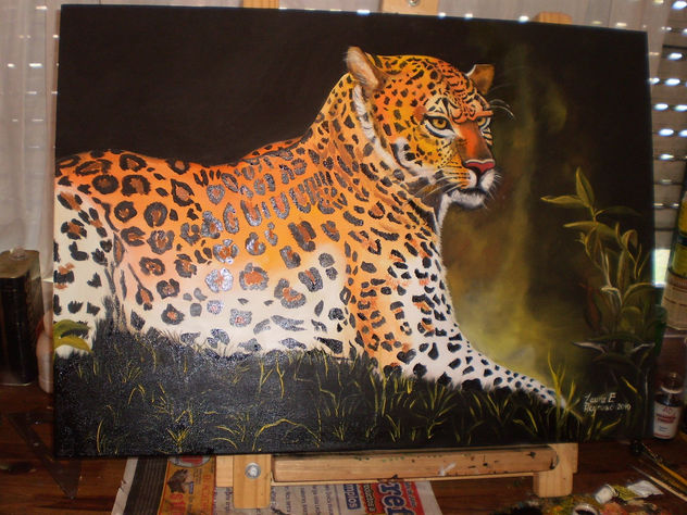LA MIRADA DEL JAGUAR